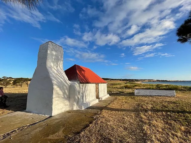 Fancy taking a dip with hungry tuna, scary sharks or friendly sea lions? Story Boston Island Tours