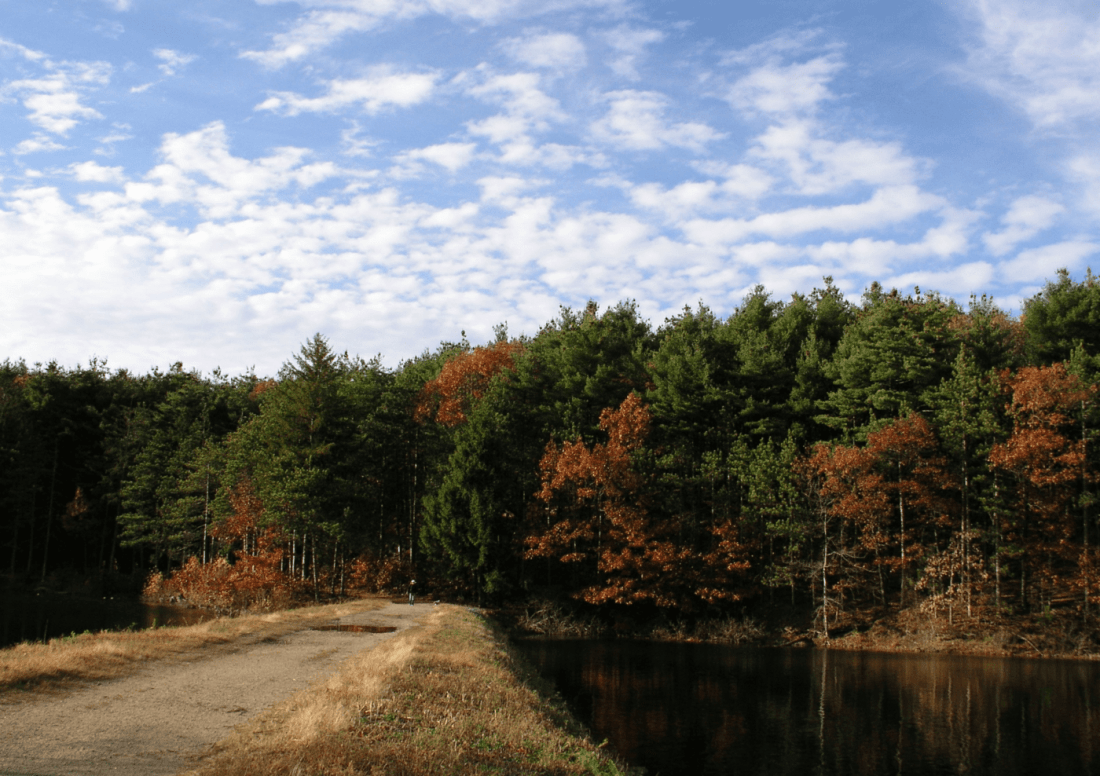 Best trail running shoes of 2022. A Short Guide To Boston Trail Running By Guillaume Delloue Medium