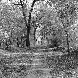 We include products we think are useful for our readers. My Top 5 Boston Trail Running Spots Sam Nigh