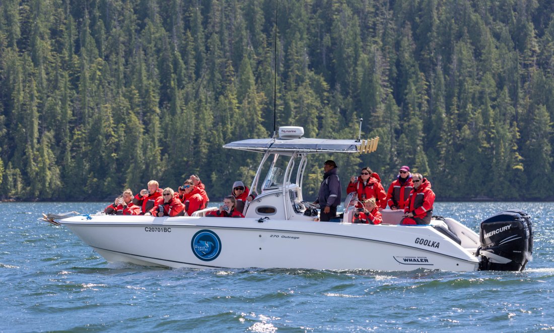 Best whale watching tours in boston, ma · capt bill & sons whale watch. Private Tour Charters Tofino The Whale Centre Tofino Bc