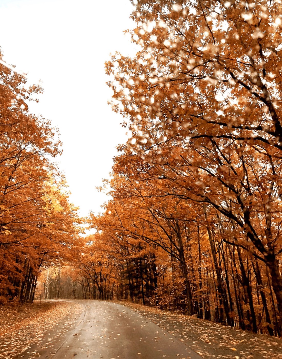 Enjoy the open road on one of these top u.s. Scenic Drive Traveling Maine S Coast To Boston In The Fall 7 Day Maine Itinerary Go French Yourself