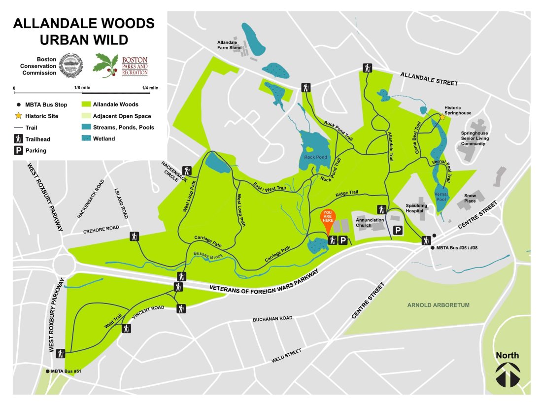 Gmaps pedometer calculates the distance of a route you choose on a google map in miles. Visiting The Woods Allandale Woods
